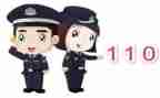 110辅警工作总结范文7篇