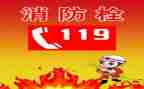 幼儿园中班119活动教案8篇