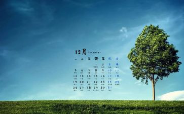 行政12月总结8篇