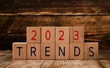 2023年度班主任工作总结7篇