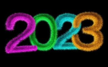 2023初中学生社会实践活动总结7篇