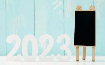 2023年度商会工作总结7篇