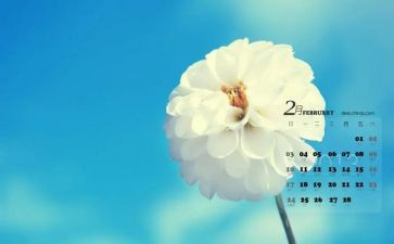2月份工作总结8篇