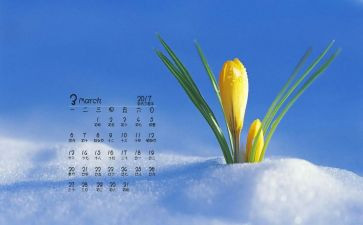 积极分子3月份的思想汇报8篇