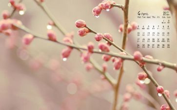 蒙氏幼儿园4月工作总结7篇