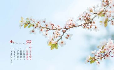 幼儿园大班4月份工作计划7篇