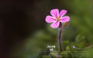 4月份的工作计划5篇