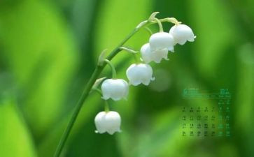 4月活动总结5篇