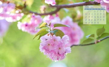 幼儿园小小班4月份工作总结5篇