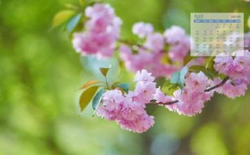 4月安全活动总结模板8篇