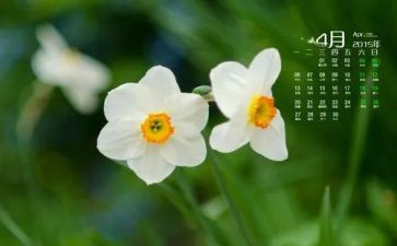 4月活动总结精选8篇