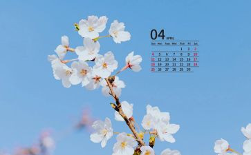 中班4月周工作计划7篇