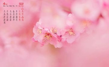 4月份安全工作总结5篇