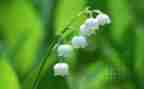 4月活动总结5篇