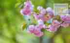 4月安全活动总结模板8篇