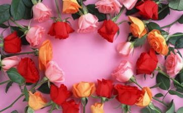 520珠宝活动方案5篇