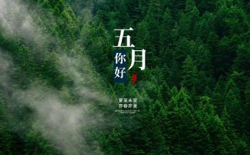 幼儿园中班5月份工作总结7篇