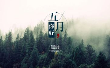5月周工作计划6篇