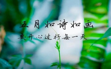 幼儿园大班5月份工作总结5篇