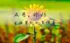 2024年小班5月份工作总结5篇