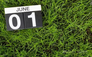 6月安全生产月活动总结优秀5篇
