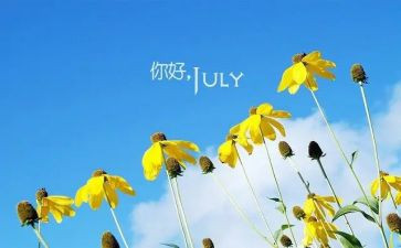 6月销售工作计划总结6篇