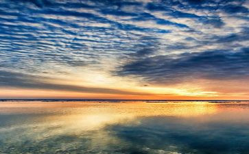 8月份月总结通用6篇