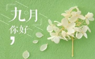 119月活动总结7篇