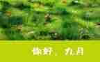 幼儿教师9月份工作月总结8篇