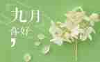 119月活动总结7篇