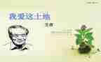 艾青的读后感推荐5篇