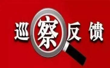 案后整改报告参考8篇
