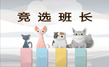 班长班级工作总结800推荐7篇