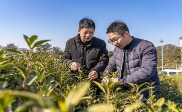 帮带工作计划7篇