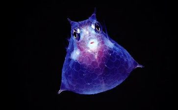 生物教师工作年终总结5篇