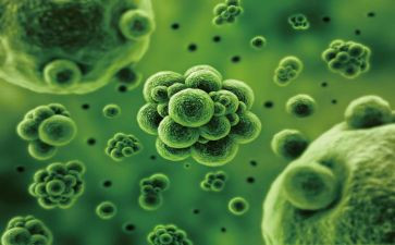 生物教师工作总结个人总结精选5篇