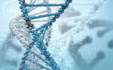 高中生物工作计划7篇