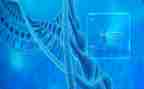 生物实验室安全自查报告8篇