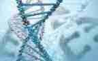 高中生物工作计划7篇
