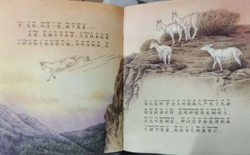 斑羚飞渡的读后感最新6篇