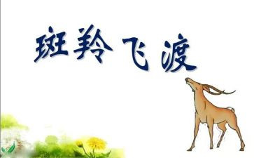 斑羚飞渡的读后感6篇