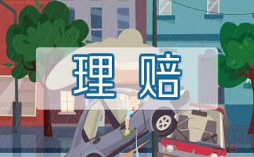 保险公司年度总结6篇