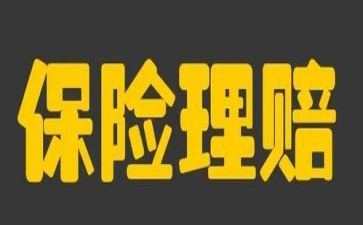 保险公司2024年工作总结优质7篇