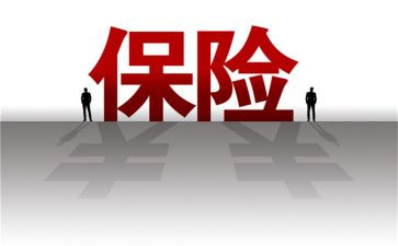 保险公司年度总结通用7篇