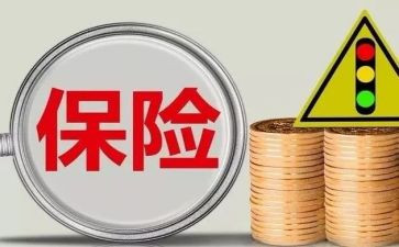 个人保险公司年度工作总结8篇
