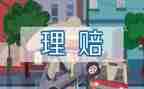 保险公司年度总结6篇
