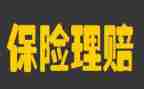 保险公司2024年工作总结优质7篇