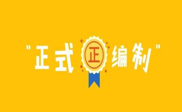 编制工作个人总结5篇
