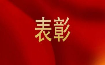 教师表彰活动方案8篇