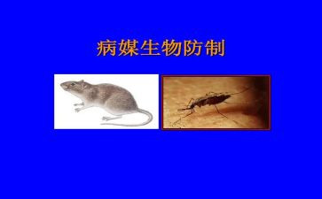 病媒生物工作工作计划8篇